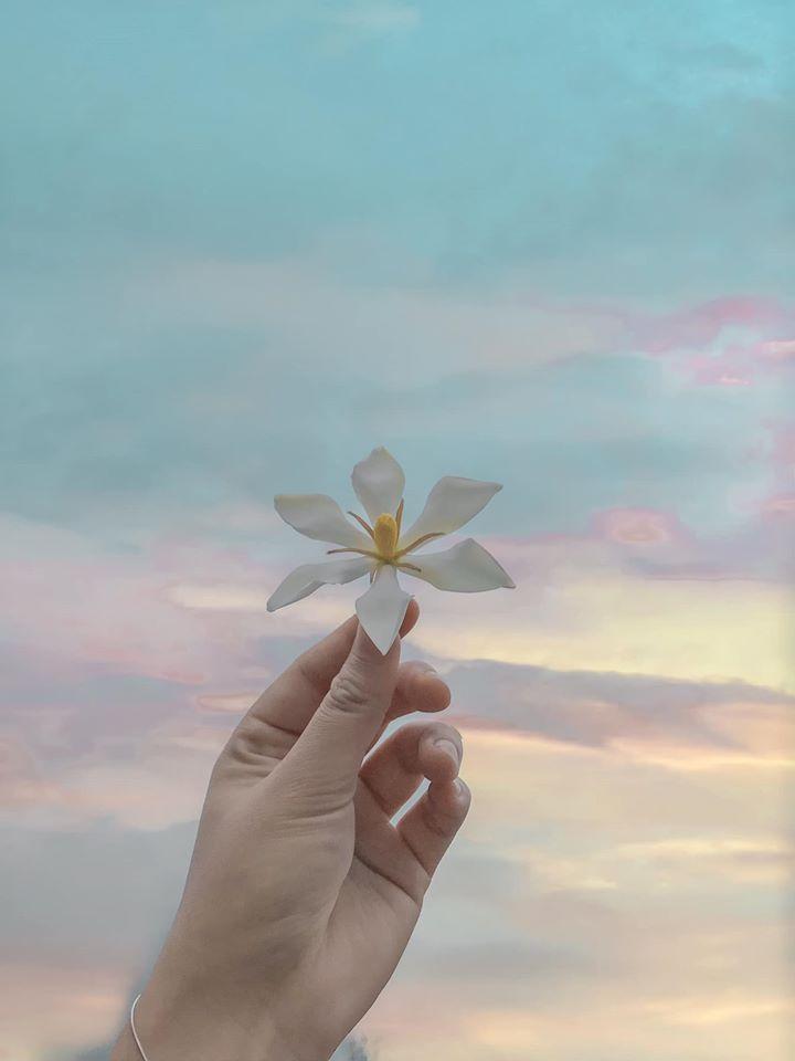 Tử vi thứ Tư ngày 7/10/2020 của 12 con giáp: Hợi họa vô đơn chí, Thân sự nghiệp hanh thông-4