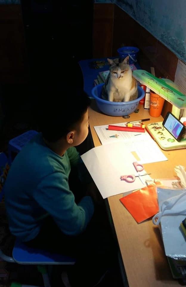 Nghìn khoảnh khắc bố mẹ cười không được, khóc chẳng xong khi con vào lớp 1-6