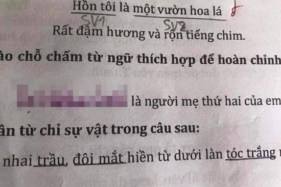 Hỏi người mẹ thứ 2 của em là ai, cậu nhóc lớp 1 có câu trả lời khiến người nghe câm nín
