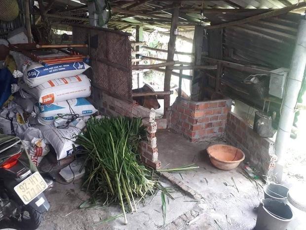 Nữ sinh 18 tuổi treo cổ tự tử sau khi biết điểm chuẩn thi đại học-3