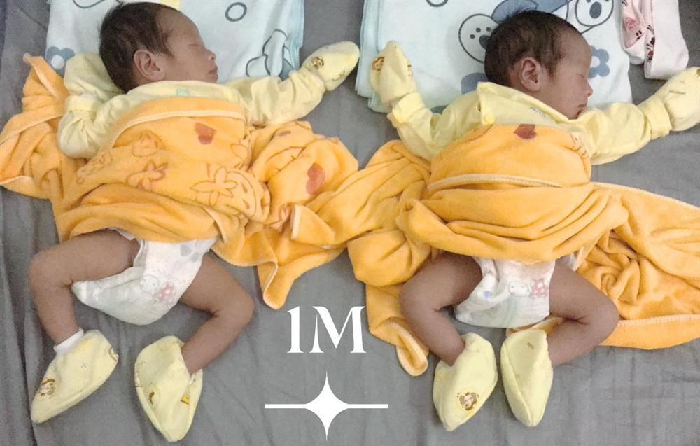 Cặp quý tử song sinh bụ bẫm nhà Đặng Thu Thảo - Trần Phúc Thành-1