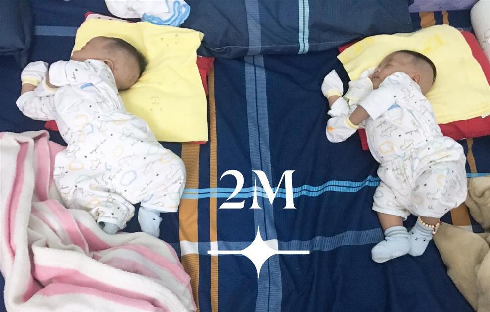 Cặp quý tử song sinh bụ bẫm nhà Đặng Thu Thảo - Trần Phúc Thành-2