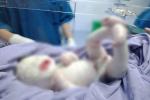 Thái Bình: Bé sơ sinh 3 ngày tuổi phát hiện bị mắc bệnh lậu do lây từ mẹ-2