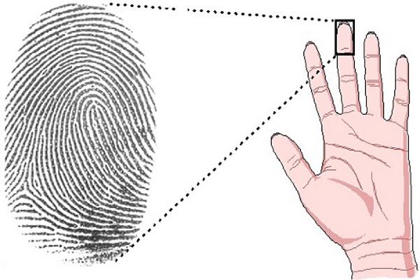 Tử vi 12 cung hoàng đạo ngày 8/10/2020: Bạch Dương thị phi, Kim Ngưu sự nghiệp phất-7