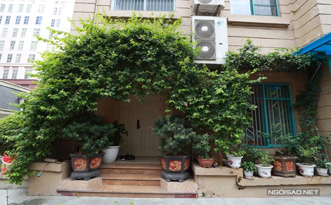 Vườn hoa hàng trăm triệu đồng của diễn viên Quang Tèo-1