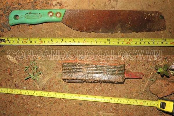 Đoạt mạng hàng xóm vì chuyện hát karaoke-1