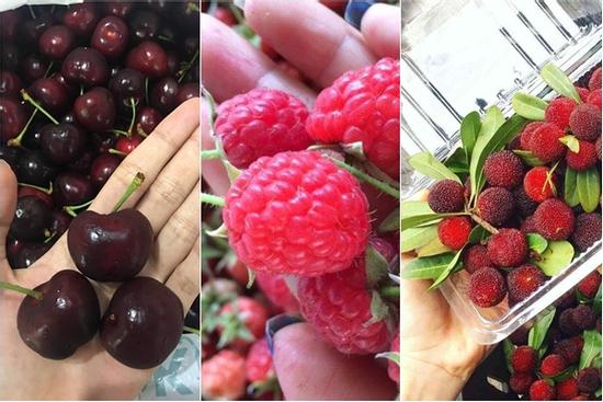 Điểm danh 5 loại quả 'nước nhà người ta' rẻ như bèo, về Việt Nam 'đắt như vàng'