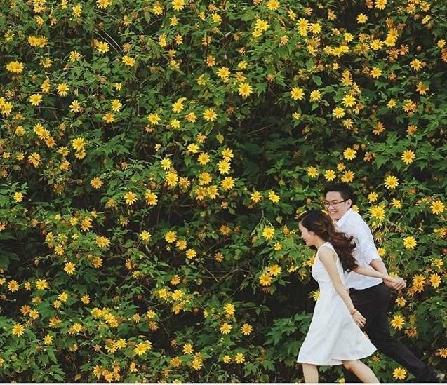 Ghé thăm Đà Lạt, rong ruổi những cung đường hoa dã quỳ đẹp nhất vào tháng 10-1