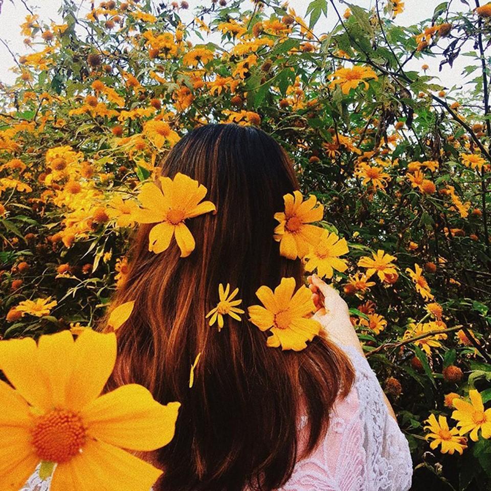 Ghé thăm Đà Lạt, rong ruổi những cung đường hoa dã quỳ đẹp nhất vào tháng 10-6