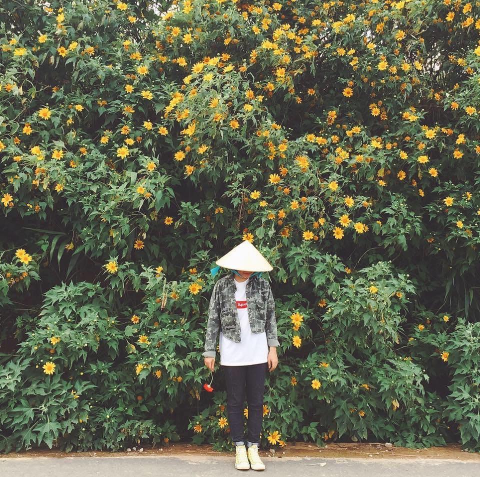 Ghé thăm Đà Lạt, rong ruổi những cung đường hoa dã quỳ đẹp nhất vào tháng 10-7