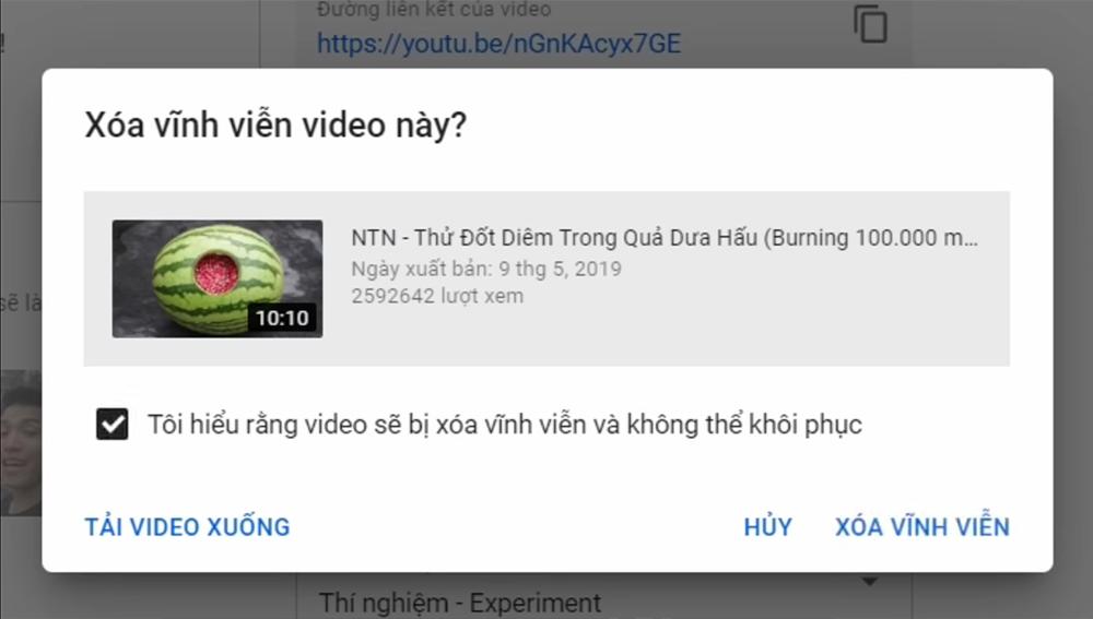 NTN Vlogs tự tay xóa nhiều video nhảm nhí chục triệu view: Quá khứ của tôi là sai lầm-2
