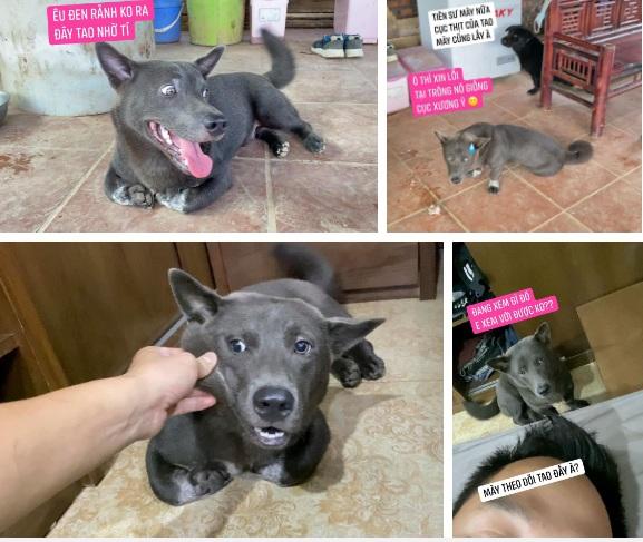 Idol Nguyễn Văn Dúi gây sốc với ngoại hình già nua, béo phệ lại còn bị xích cổ đáng thương?-4