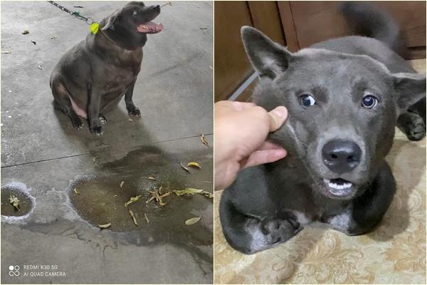 Idol Nguyễn Văn Dúi lên chức, làm bố 5 con-7