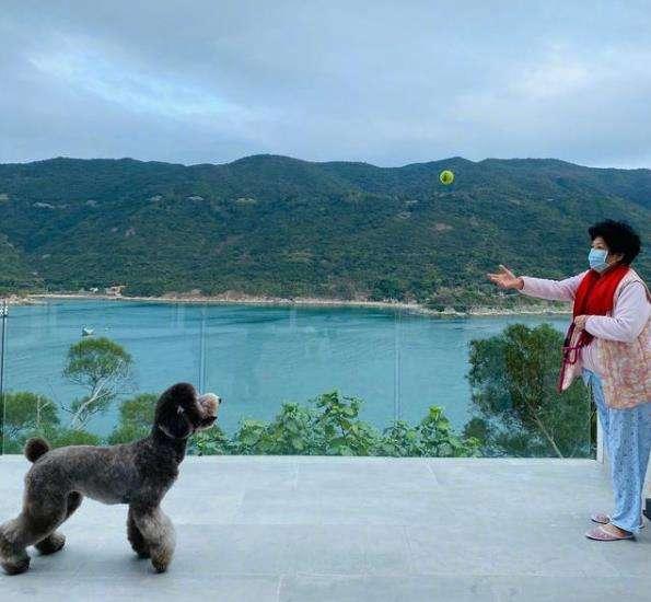 Gia thế khủng của Trần Vỹ Đình, thiếu gia hàng thật giá thật của Cbiz-11