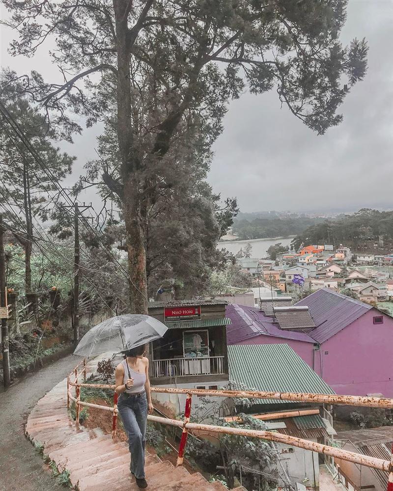 Ngoài dốc Nhà Bò, Đà Lạt cũng có những con dốc check-in siêu đẹp không phải ai cũng biết-5