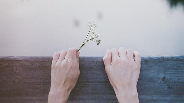 Thứ 7 cuối tuần, cung hoàng đạo nào may mắn, cung hoàng đạo nào xui xẻo?-3