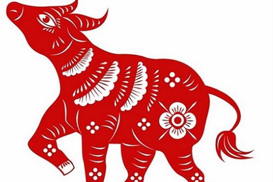 Top 3 con giáp không tỏ ra mình lợi hại nhưng luôn âm thầm nỗ lực trau dồi bản thân