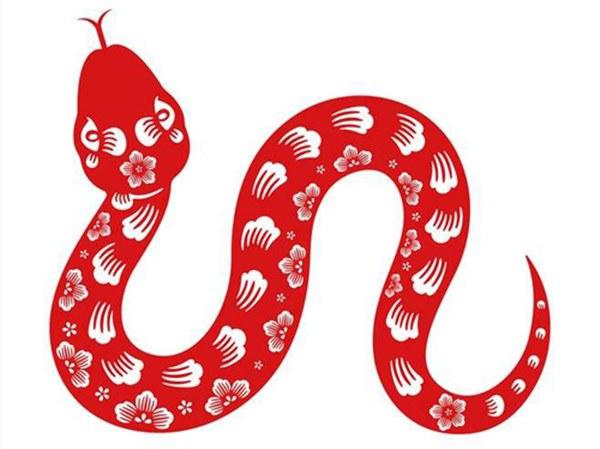 Top 3 con giáp không tỏ ra mình lợi hại nhưng luôn âm thầm nỗ lực trau dồi bản thân-3