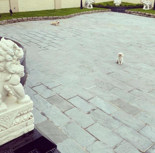 Linh Rin khoe được thiếu gia nhà tỷ phú đích thân rửa xe cho, dân tình lại soi căn biệt thự to vật vã-3