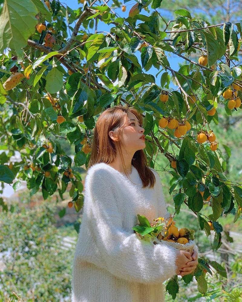 Những tọa độ ngắm hồng chín đẹp xuất sắc ở Đà Lạt khiến ai cũng mê-7