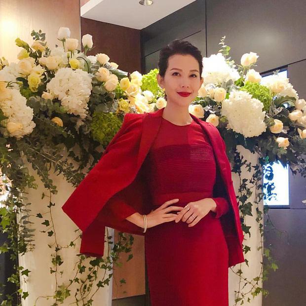 Nhan sắc khuynh thành một thời của Á hậu đẹp nhất Hong Kong-11