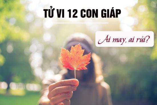 Tử vi thứ 2 ngày 12/10/2020 của 12 con giáp: Dần thành công, Mão cần học cách quan tâm