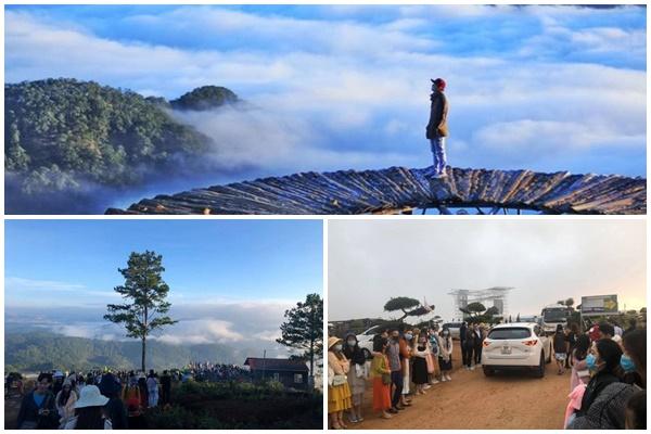 Dân mạng chia sẻ hình ảnh cây hoa giấy có hình trái tim cực lạ-13