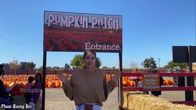 Phạm Hương dừng hẳn sự nghiệp làm Vlog sau nhiều lần bị ném đá?-5