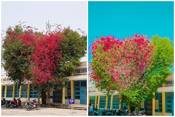 Chung cư 42 Nguyễn Huệ có gì mà được báo Mỹ khen nức nở đến vậy?-28