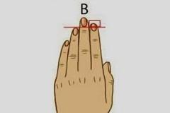 Xòe bàn tay, ngắm ngón tay để biết tính cách ẩn sâu trong con người bạn-2