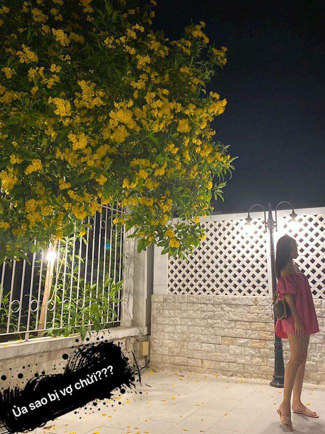 Mỹ nhân Việt bị chồng dìm hàng tơi tả đến mức chẳng nhận ra-2