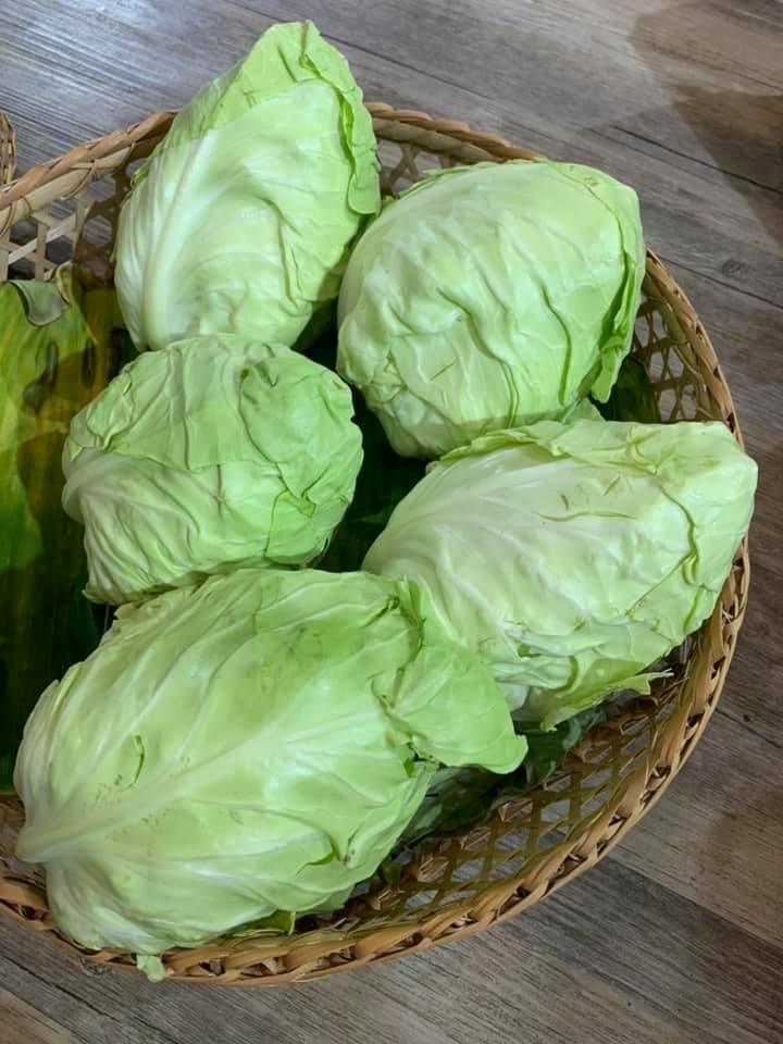 Các rau củ tắm trong biển hóa chất ăn vào sinh đủ bệnh, loại cuối cùng không ai ngờ đến-1