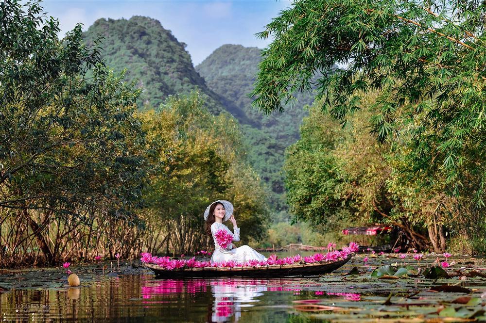 Ngược dòng suối Yến ngắm hoa súng nở rộ tím hồng một góc trời-5