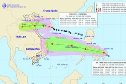 NÓNG: Bão số 7 giật cấp 11 đang hướng vào các tỉnh Thái Bình - Nghệ An, gây mưa rất to