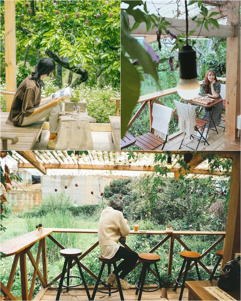 Quán cà phê cho không sự bình yên ở Đà Lạt, gửi đến ai muốn tìm lại thanh xuân-4