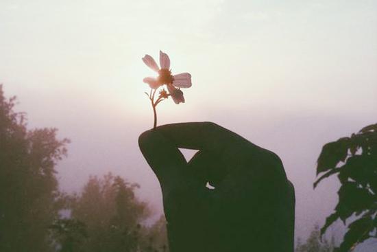 Thứ 6 ngày 16/10/2020 này, con giáp nào sẽ là người may mắn?