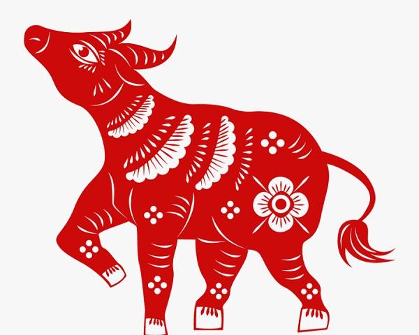 Top 3 con giáp do dự rất lâu để bước những bước đi đầu tiên khi tiếp xúc với lĩnh vực mới-2