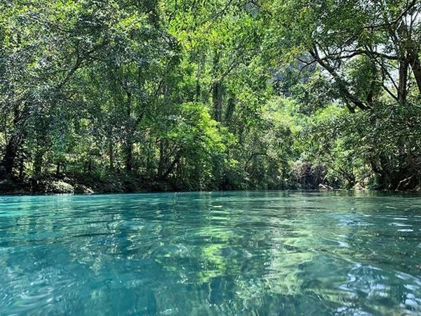 Việt Nam sở hữu con suối xanh mướt hiếm có, ai đến cũng trầm trồ ngỡ ngàng-4