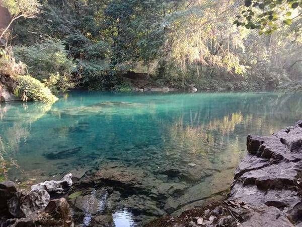 Việt Nam sở hữu con suối xanh mướt hiếm có, ai đến cũng trầm trồ ngỡ ngàng-5