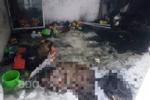 Lâm Đồng: Hỏa hoạn dữ dội, 4 ngôi nhà chìm trong biển lửa, người chạy toán loạn-4