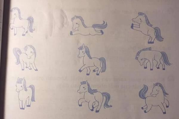 Bài toán khó nhất hôm nay đã được giải: Thuê xe tải về tận nhà đưa từng con trâu tiếp đất an toàn-4