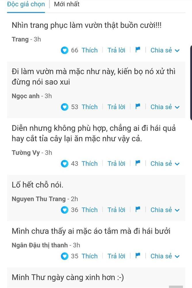 LẠ ĐỜI: Gái nhảy Minh Thư mặc bikini đi hái bưởi-4