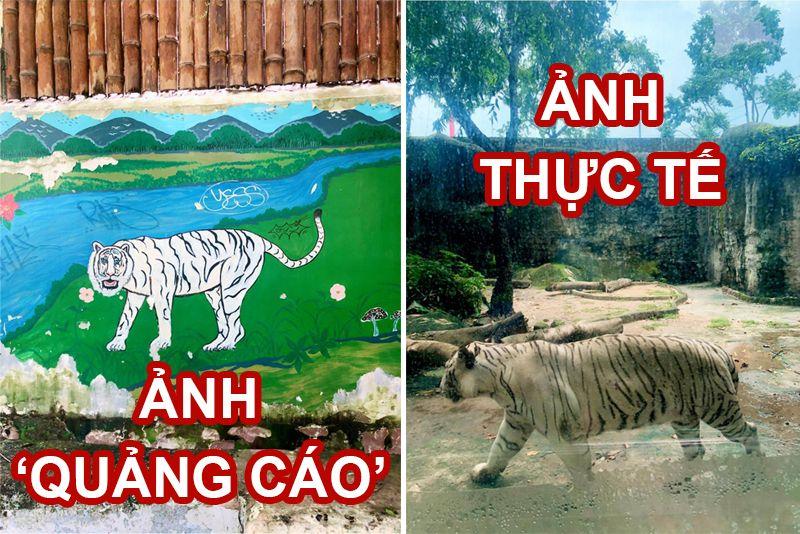 Màn review sở thú không giống ai của cô gái khiến dân tình cười bò-4