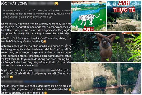 Đười ươi thử kính râm thu hút 36 triệu lượt xem-1