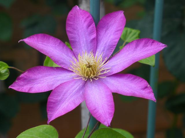 Người sinh vào những tháng này công việc thuận lợi bất ngờ, tiền tiêu rủng rỉnh trong tháng 11-1