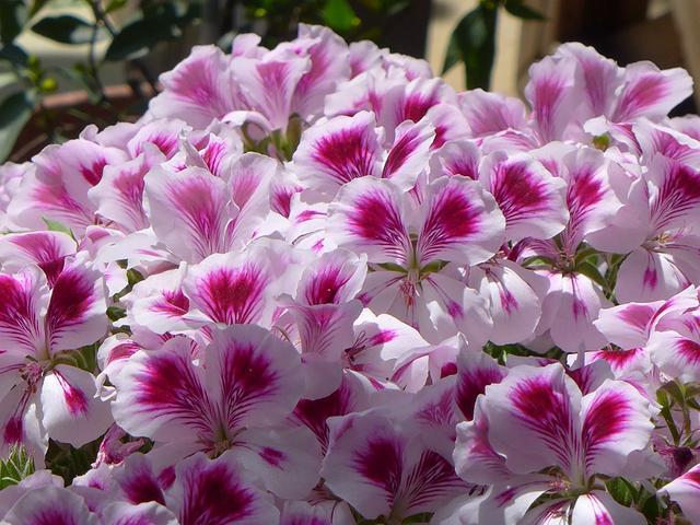 Người sinh vào những tháng này công việc thuận lợi bất ngờ, tiền tiêu rủng rỉnh trong tháng 11-2