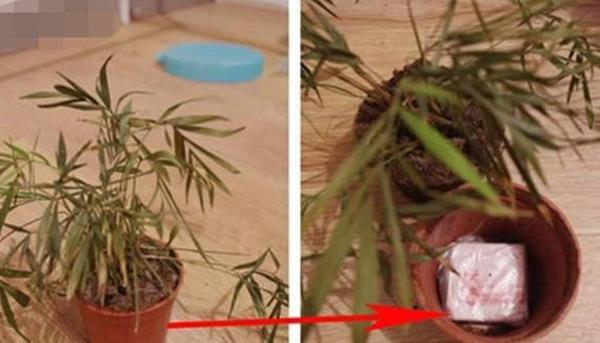 Trăm phương ngàn kế giấu quỹ đen đâu ra đấy của các ông chồng xưa nay bị vợ lột sạch lương-8