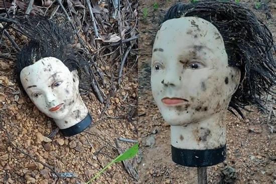 Đi vớt gỗ mùa lũ, thanh niên 'chạy đứt dép' vì vớ phải thứ sờ vào tưởng người chết