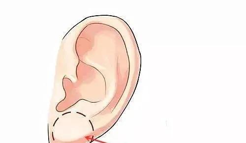 5 quý tướng và thời điểm phát tài cho người may mắn sở hữu-4