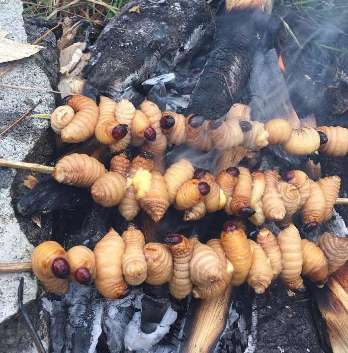 Bến Tre: Tất tần tật những món đặc sản từ dừa lạ miệng, lạ mắt, lạ tai-4